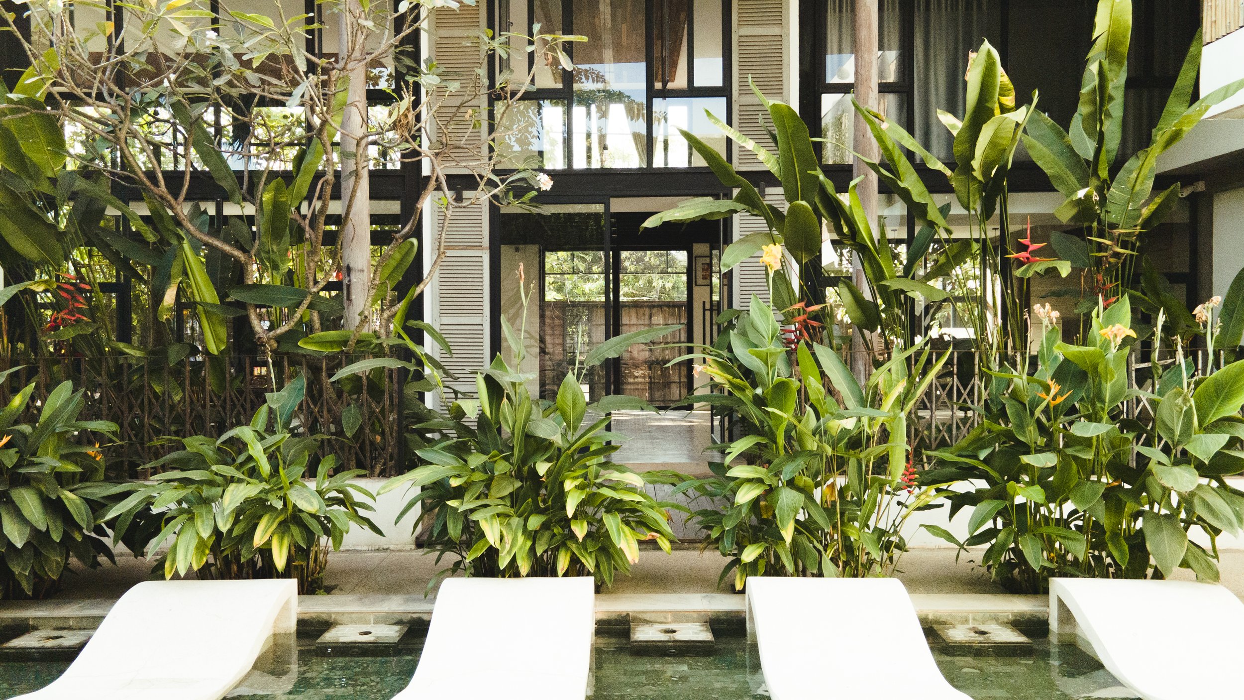 Saltwater pool and garden at Takak Villas